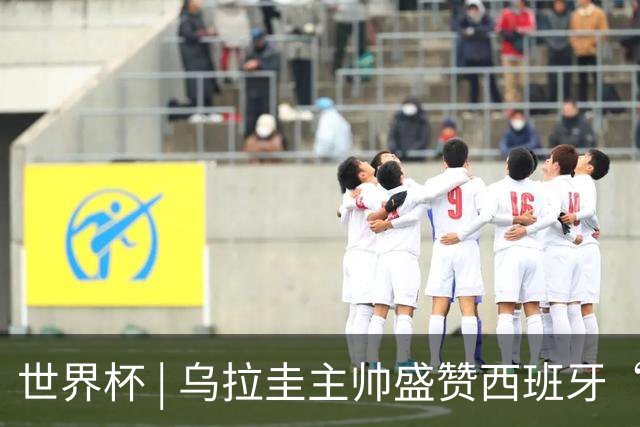 世界杯 | 乌拉圭主帅盛赞西班牙“精致足球”