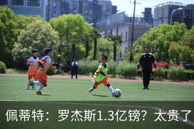 佩蒂特：罗杰斯1.3亿镑？太贵了！阿森纳可以把尼科作为替代方案