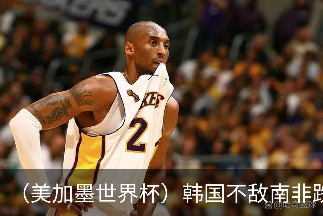 （美加墨世界杯）韩国不敌南非跌至小组第三 出线前景待定